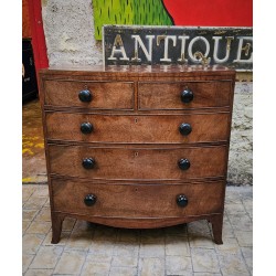 Regency Ebony Knob Chest Drawers NOW SOLD